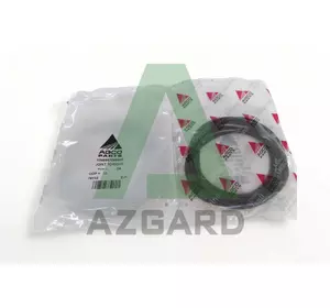 X548987066000, 548987066000 Кільце ущільнююче (FENDT, Challenger, MF, Agco Parts) X548987066000, 548987066000 Кільце ущільнююче (FENDT, Challenger, MF, Agco Parts)