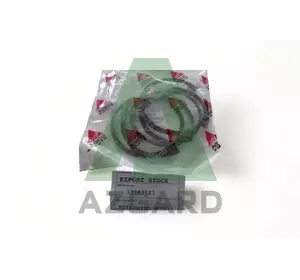 339437X1, Стопорне кільце, (FENDT, Challenger, MF, Agco Parts) 339437X1, Стопорне кільце, (FENDT, Challenger, MF, Agco Parts)