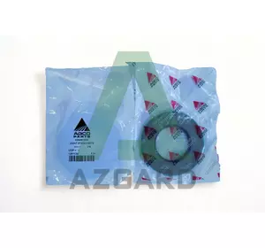 6262915M1, Сальник варіатора, (FENDT, Challenger, MF, Agco Parts) 6262915M1, Сальник варіатора, (FENDT, Challenger, MF, Agco Parts)