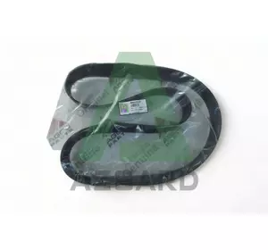 V685121570, Пас генератора, (FENDT, Challenger, MF, Agco Parts) V685121570, Пас генератора, (FENDT, Challenger, MF, Agco Parts)