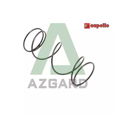 Пружина Capello (04.5055.00)
