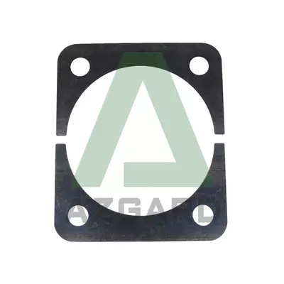 770.06.080.01, Пластина регулювальна (7700608001)