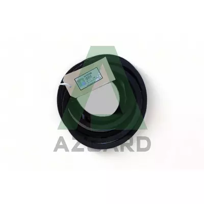 D41937500, Пас, к-кт 2шт., (FENDT, Challenger, MF, Agco Parts)